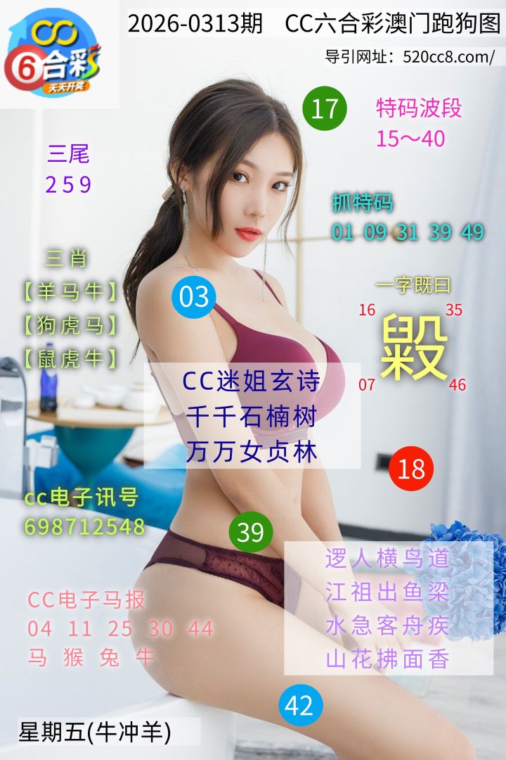 CC六合澳门跑马图0313期